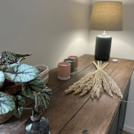 公寓 Appart'alencon