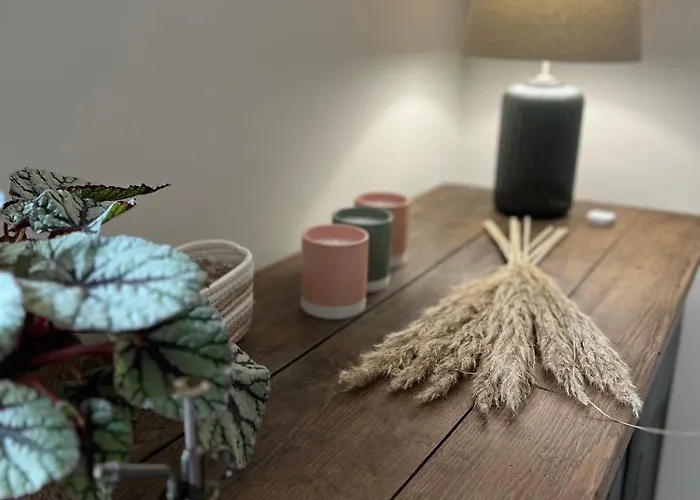 Apartment Appart'alencon